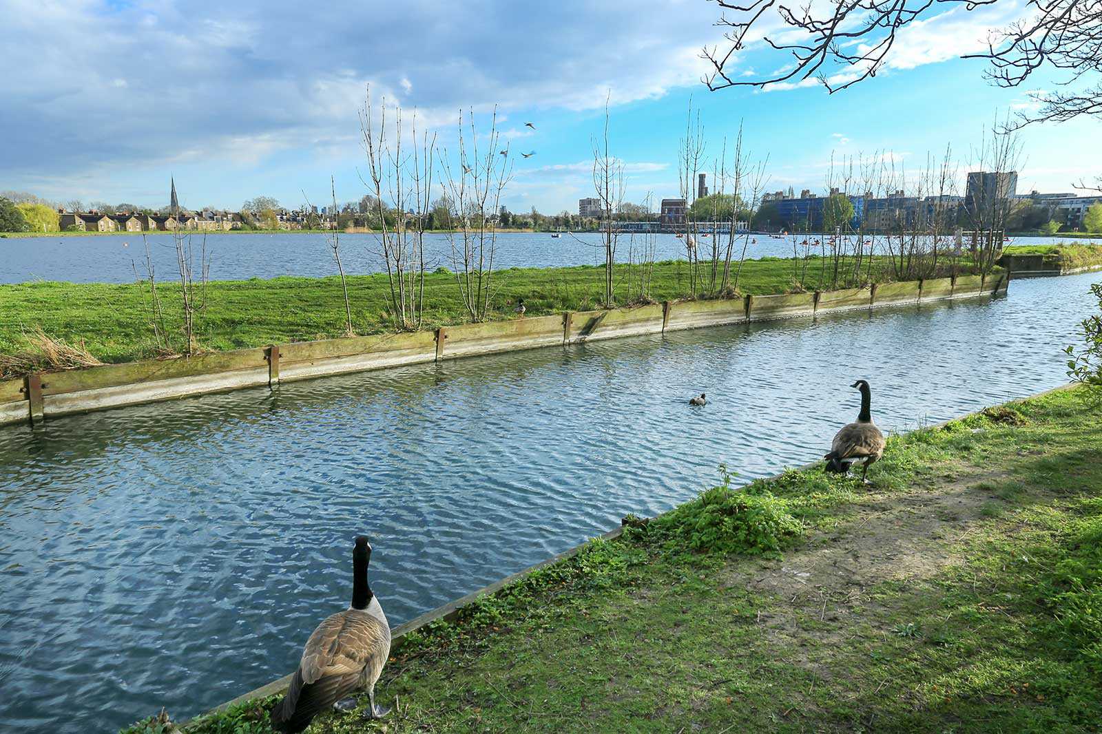 Capital Ring (Stoke Newington to Hackney Wick)