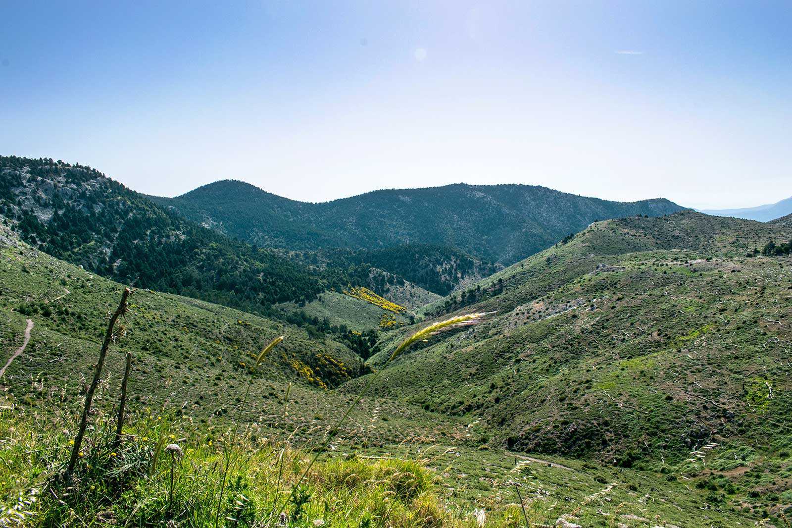 Mt Parnitha National Park