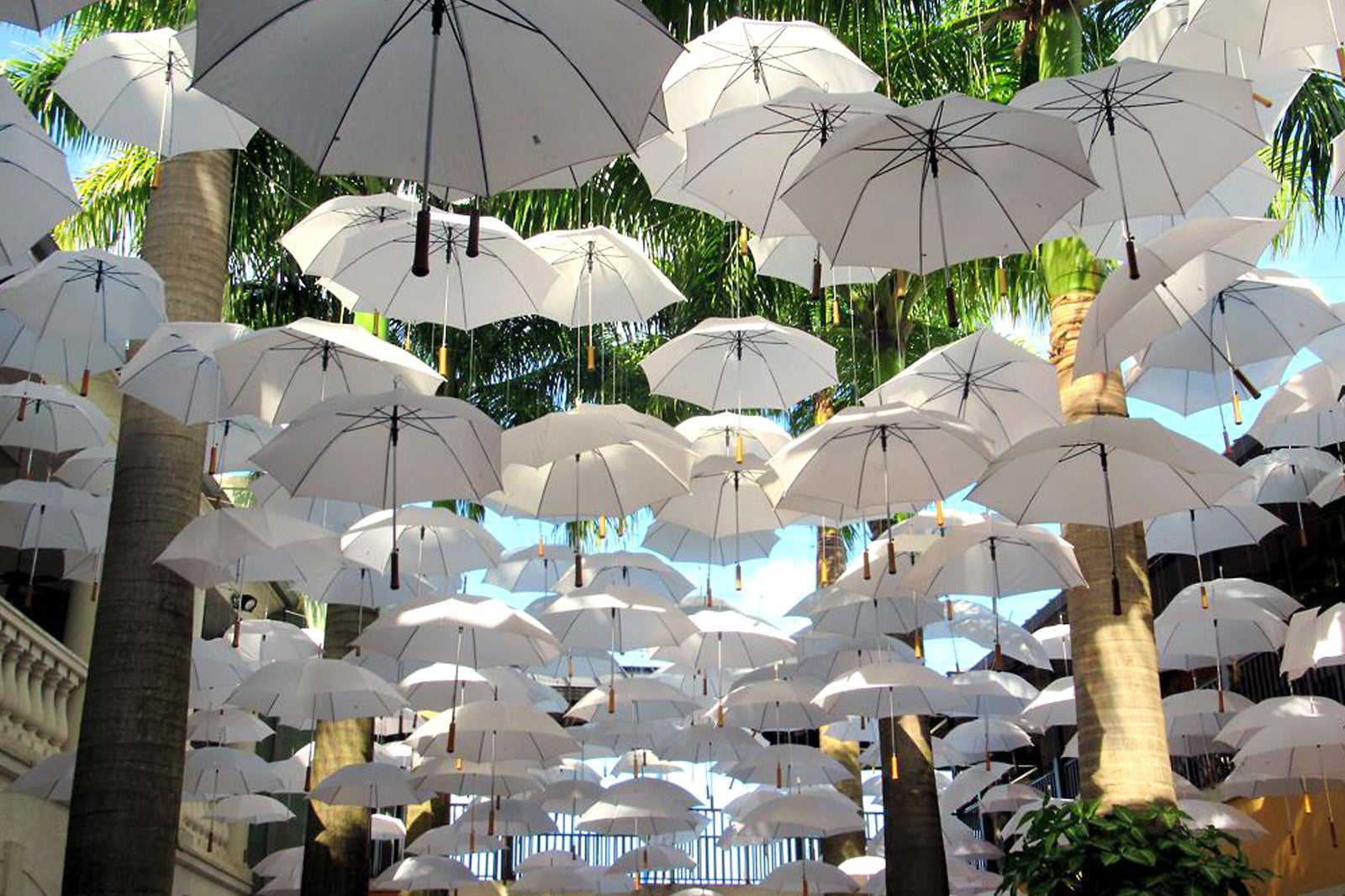 Limegrove Lifestyle Centre