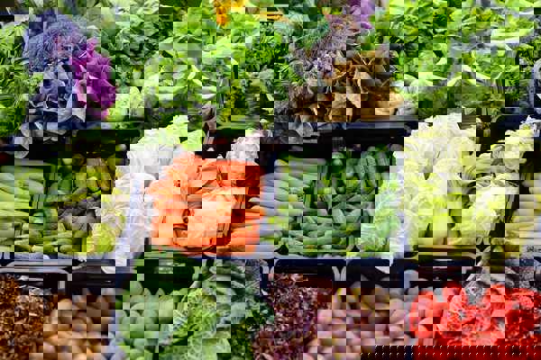 Cours Julien Farmers’ Market
