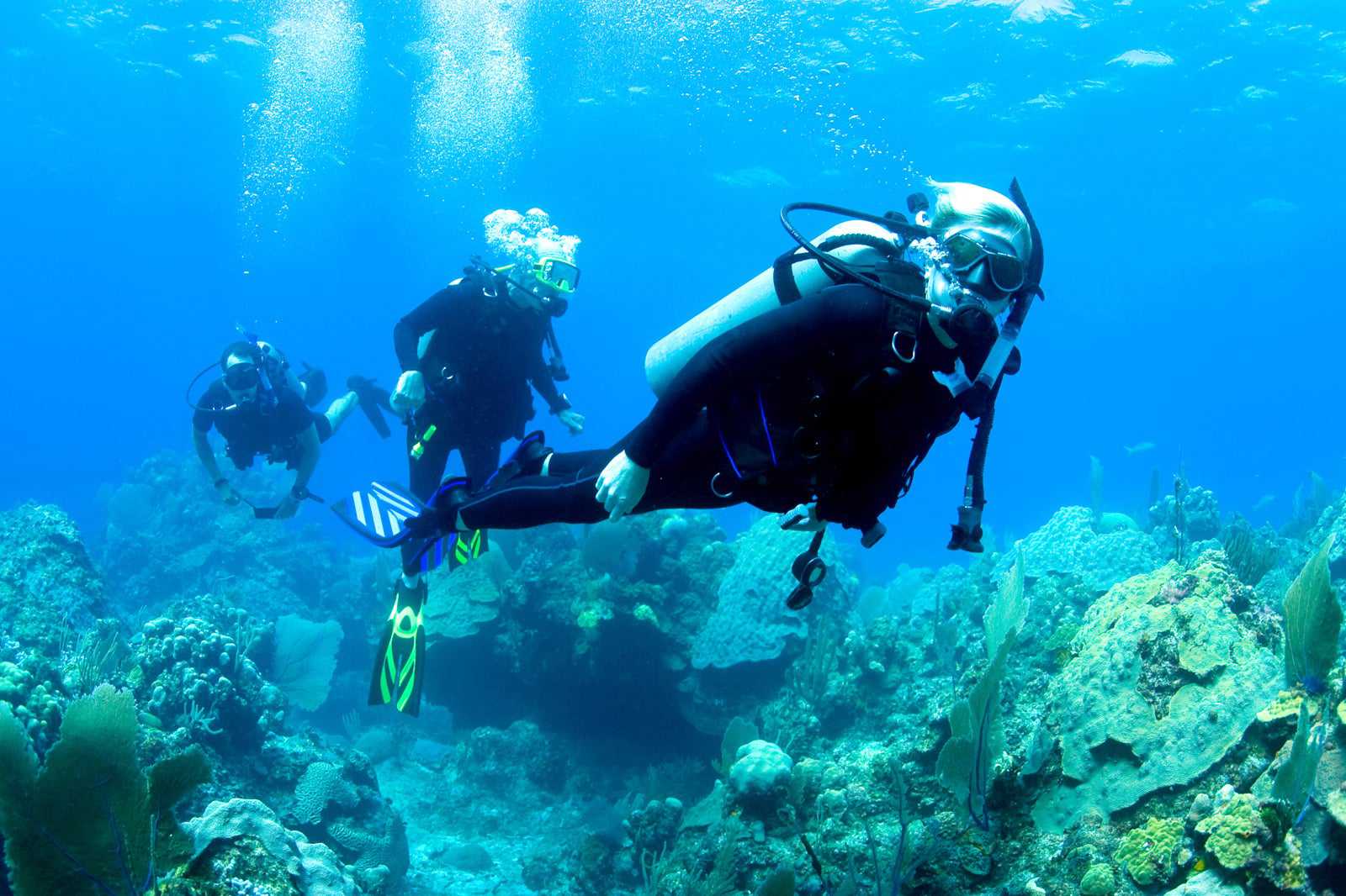 Dive into an underwater paradise
