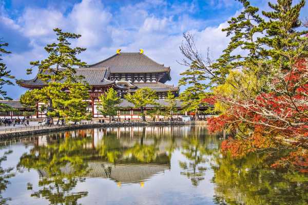 13 Best Things to Do in Nara