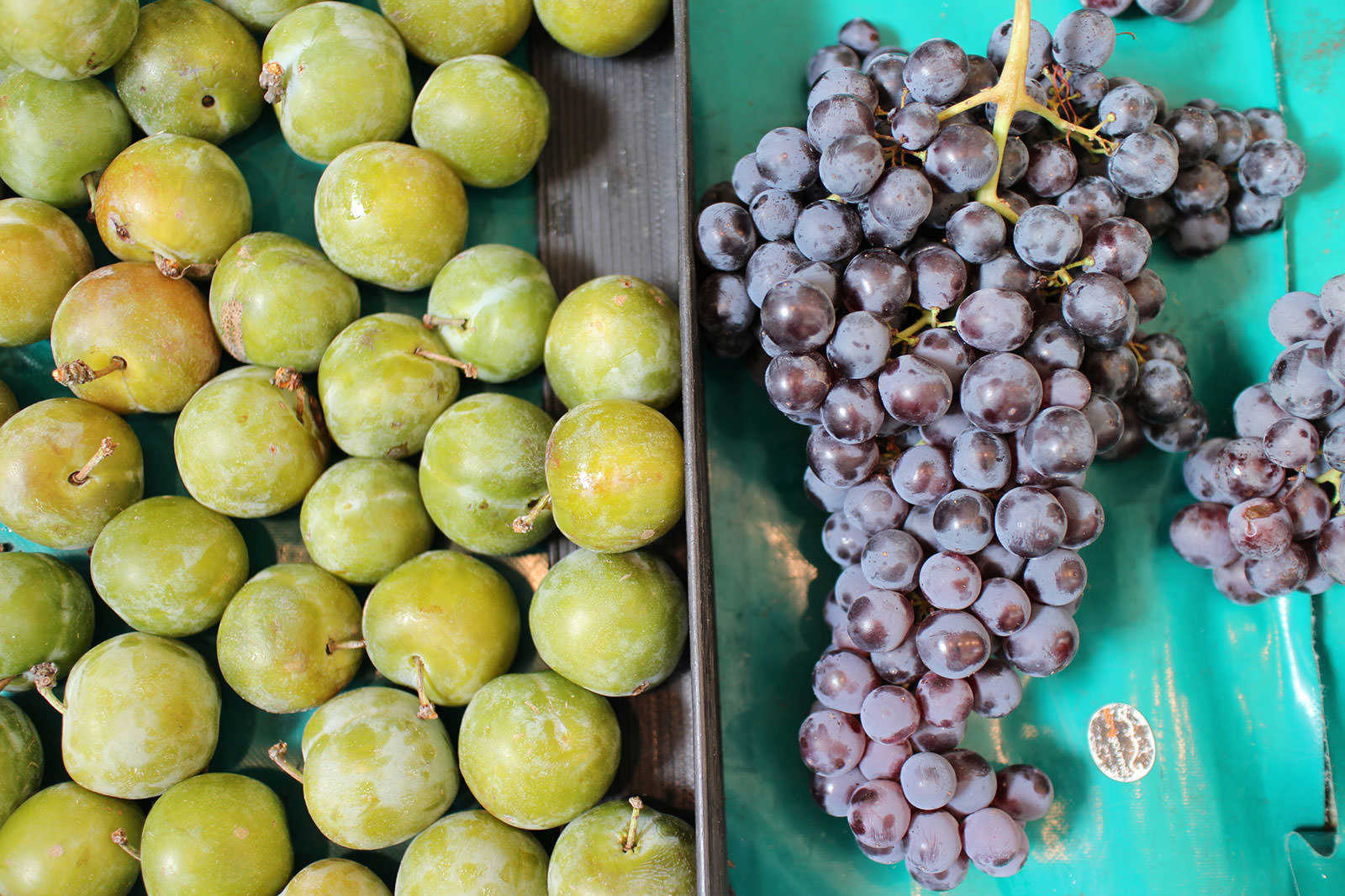 Handling fresh items at Campo de Fiori with your bare hands