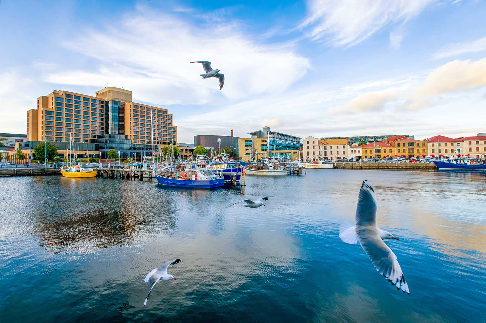 10 Best Things to Do in Hobart What is Hobart Most Famous For? Go Guides