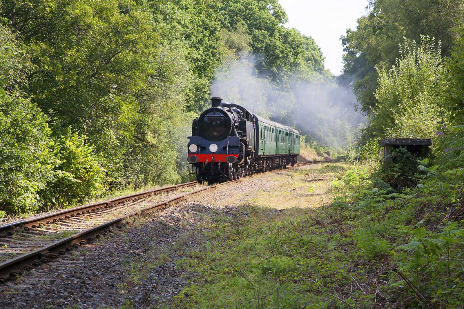 Spa Valley Railway Tours