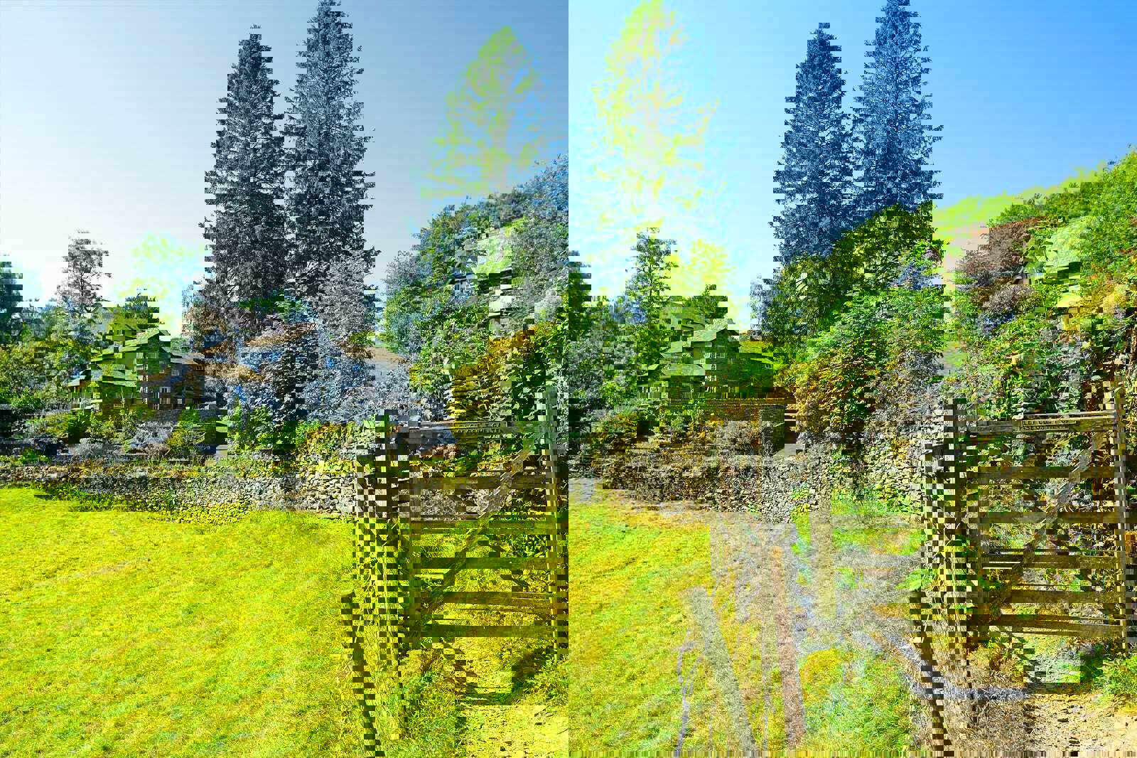 Hill Top