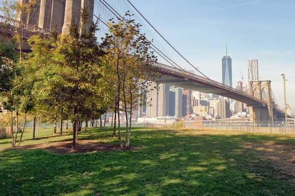 Brooklyn Bridge Park in New York