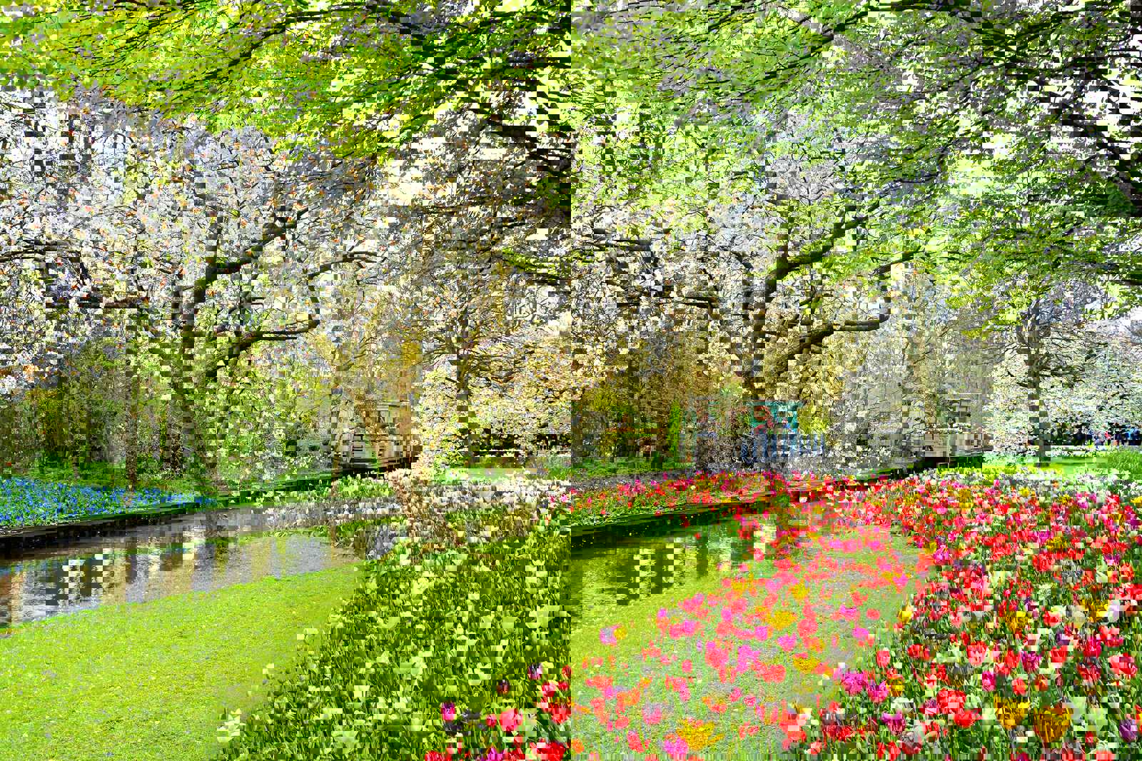 Keukenhof Gardens