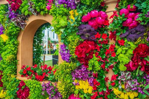 Chelsea Flower Show in London