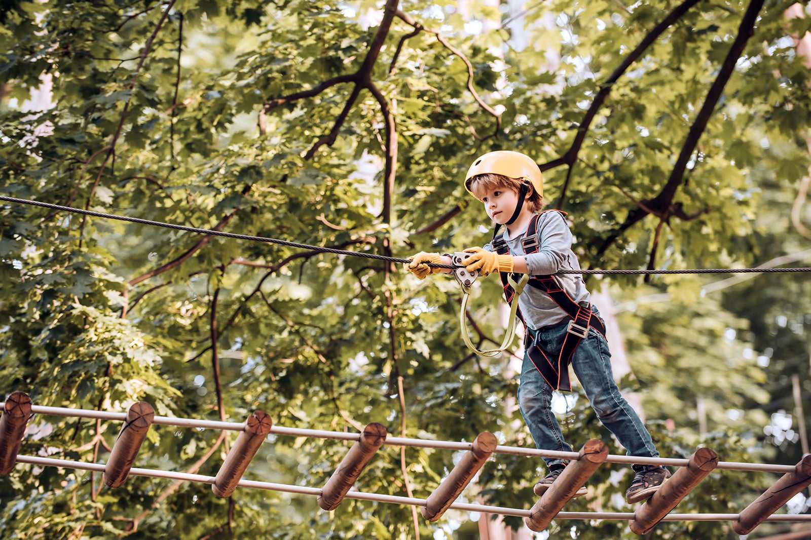 Go Ape