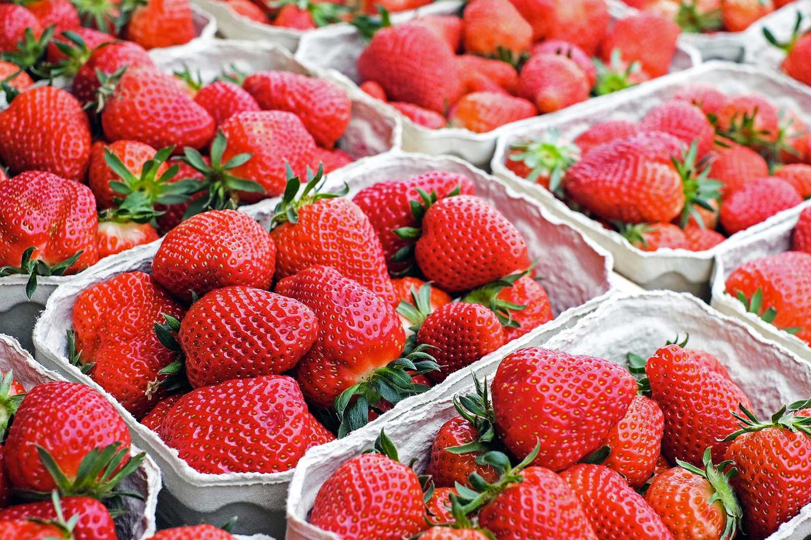 Ocean Beach Farmers Market
