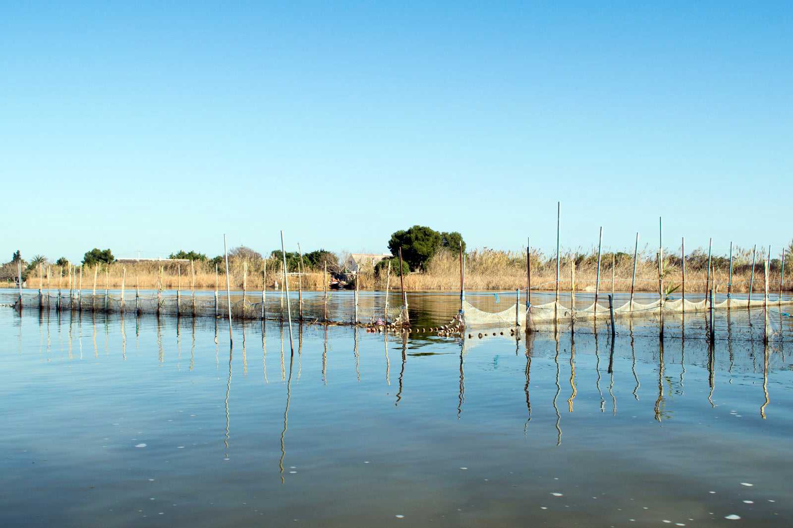 Watch evening fall over La Albufera