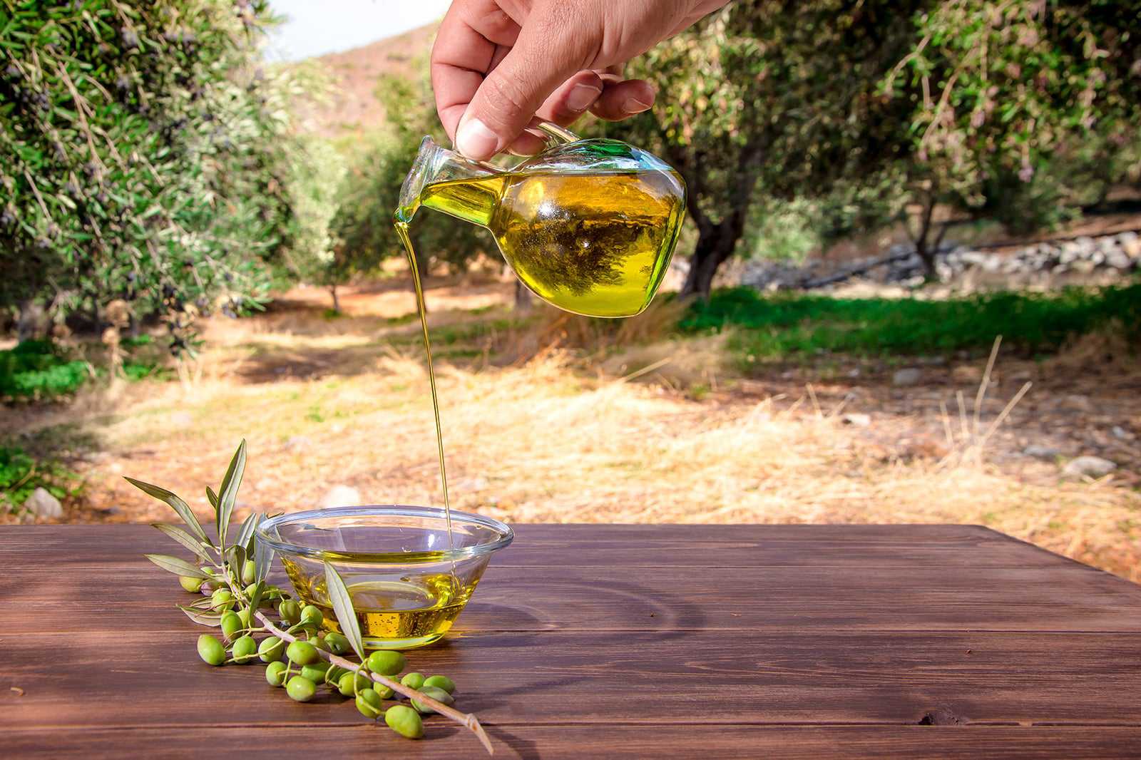 Cretan Olive Oil Farm