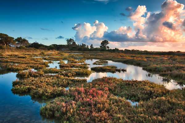 10 Free Things to Do in Chiclana de la Frontera