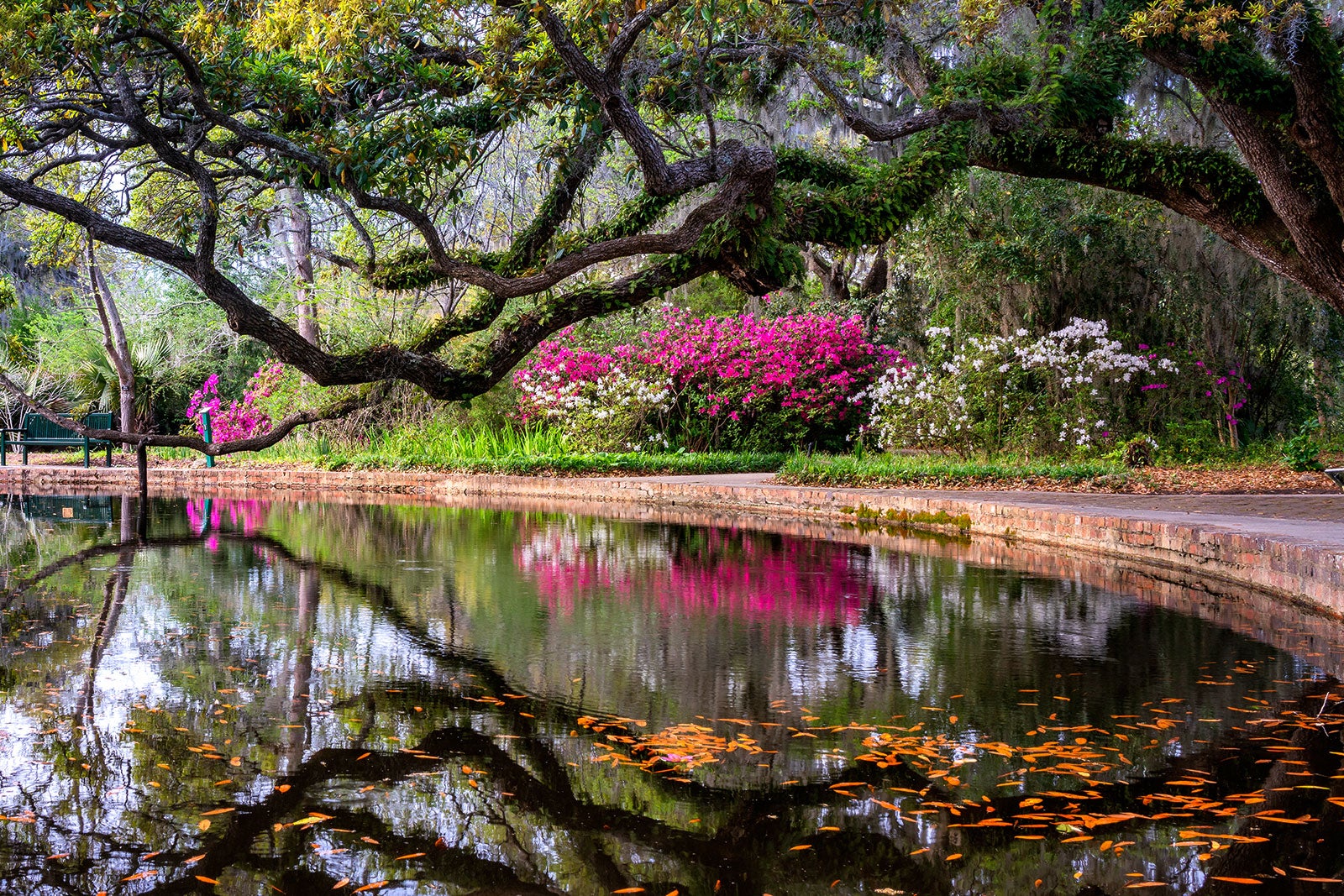 10 Best Hidden Gems in South Carolina - Where to Discover the Best Kept 