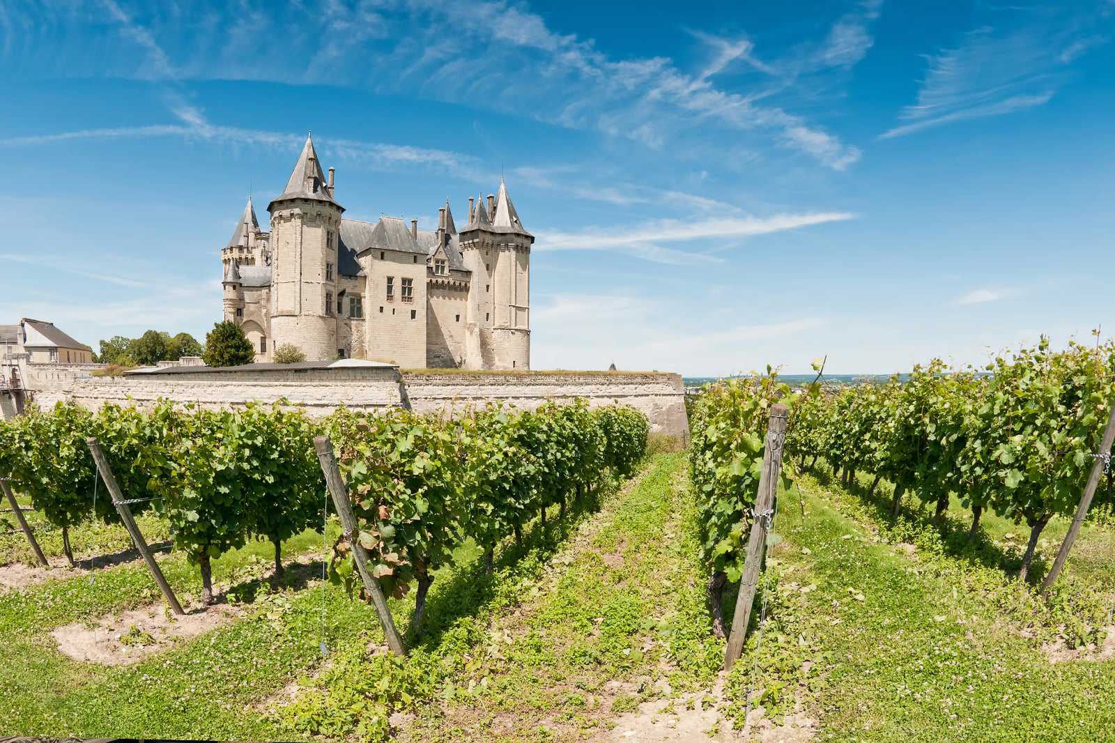 Western Loire Valley Vineyards