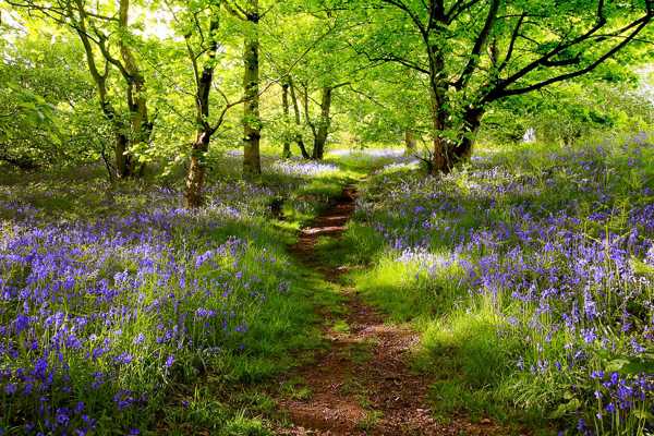 10 Best Parks in Cardiff