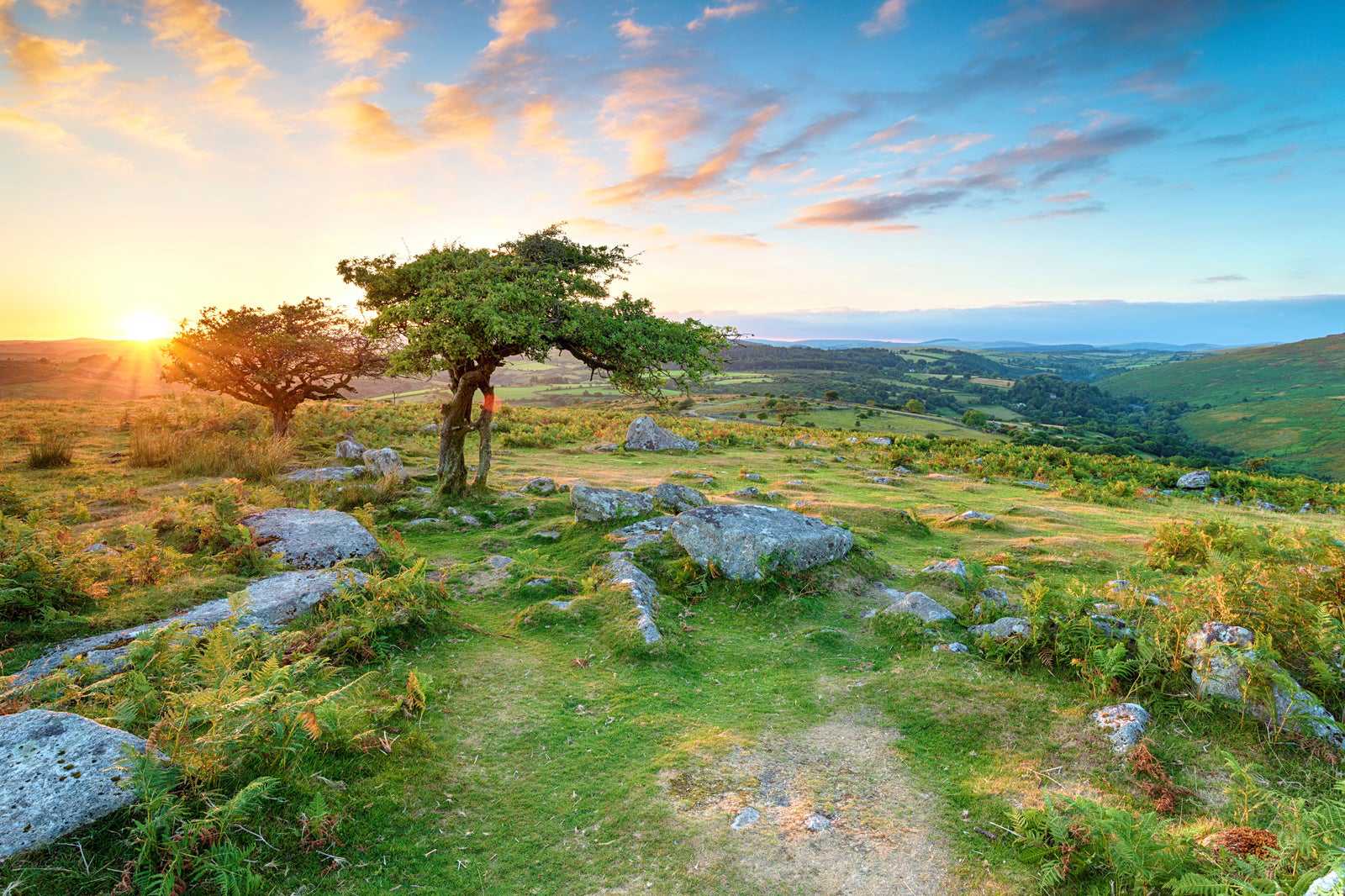 Dartmoor National Park