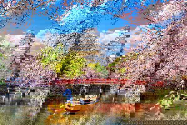 10 Best Cherry Blossom Spots in the Osaka Neighborhood