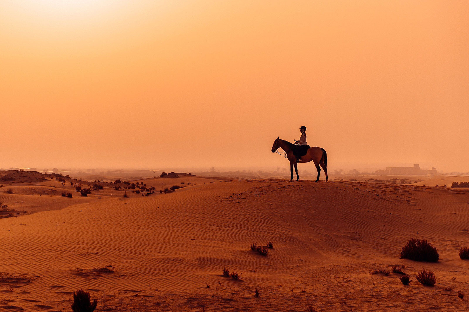 10 Best Activities To Do In Abu Dhabi Go Guides