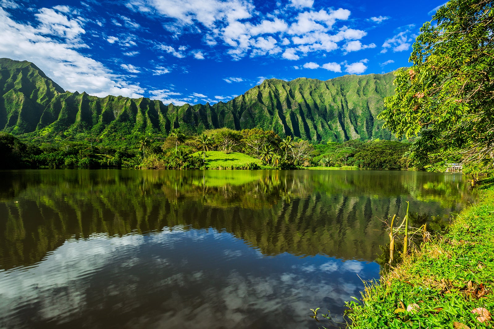 Ho'omaluhia Botanical Garden - Go Guides