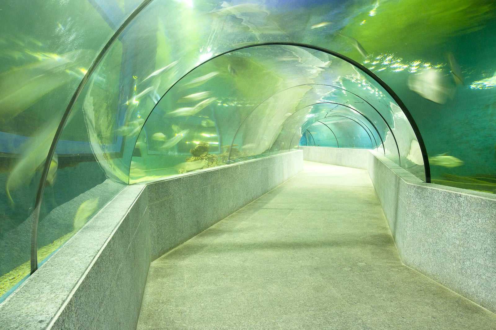Visit Boracay Oceanarium