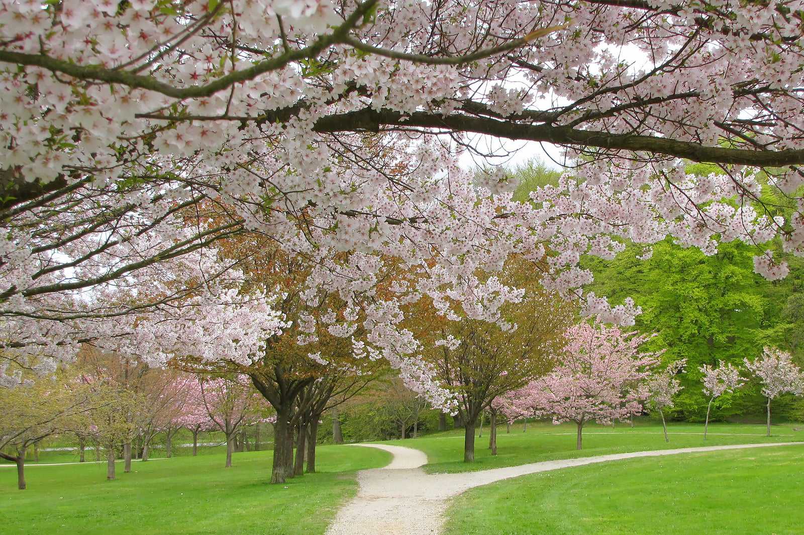 Marselisborg Memorial Park (Mindepark)