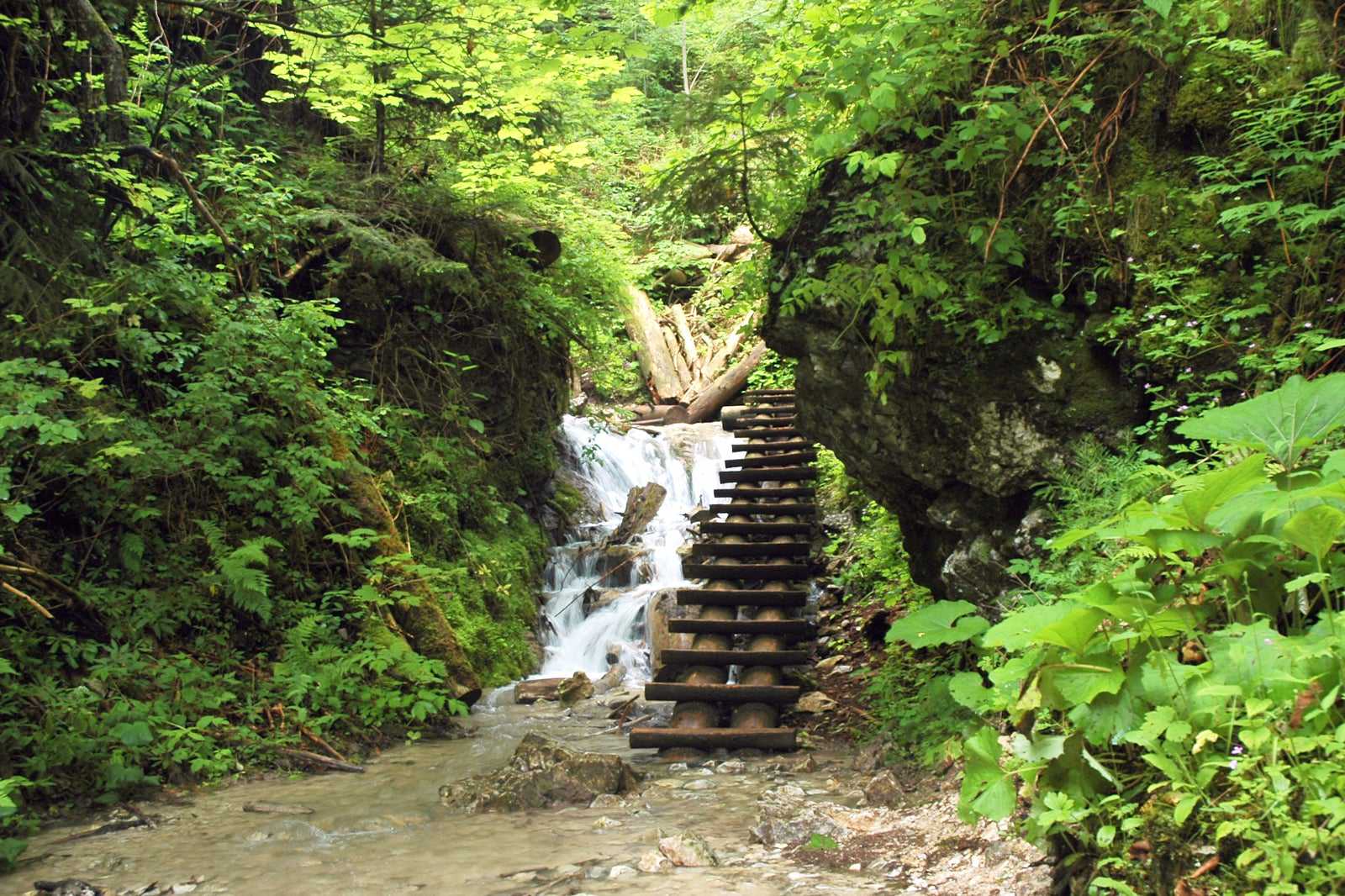 Slovak Paradise National Park