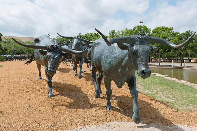 10 Places in Dallas to Live the Old West