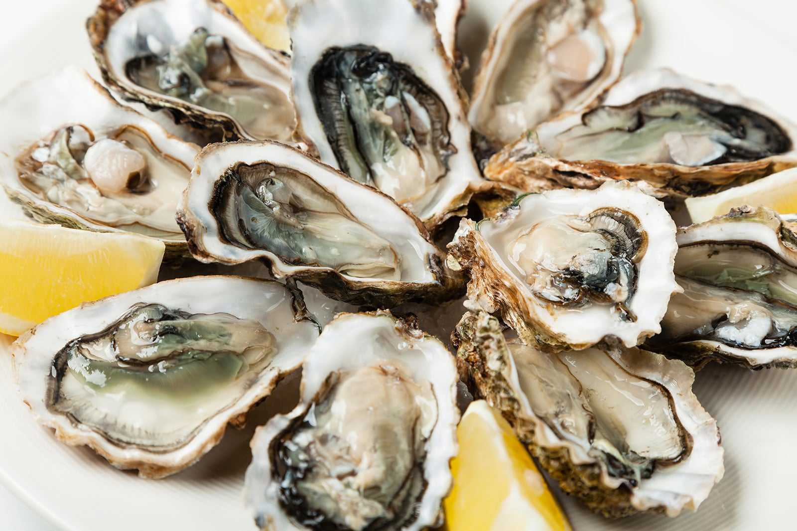 J. Garcia Frutos Do Mar