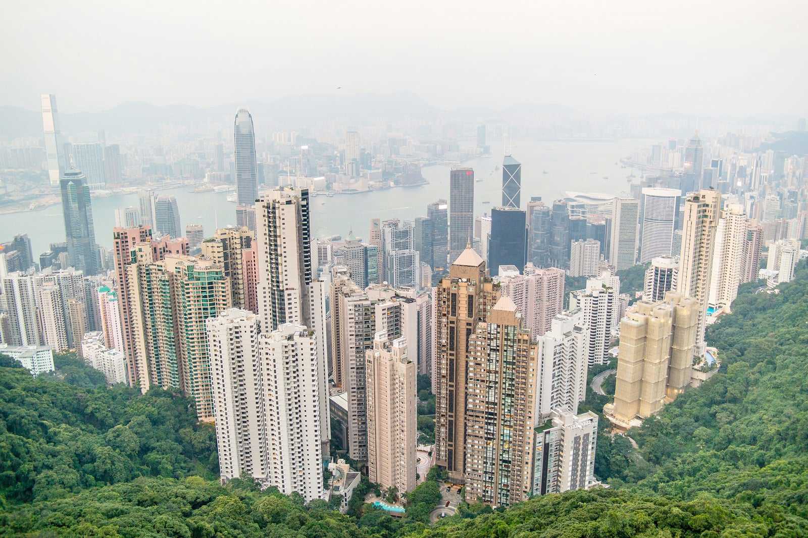 Enjoy the skyline from a free viewpoint