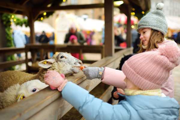 LOVE Gorgie Farm in Edinburgh
