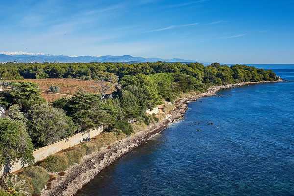 Île Saint-Honorat in Cannes