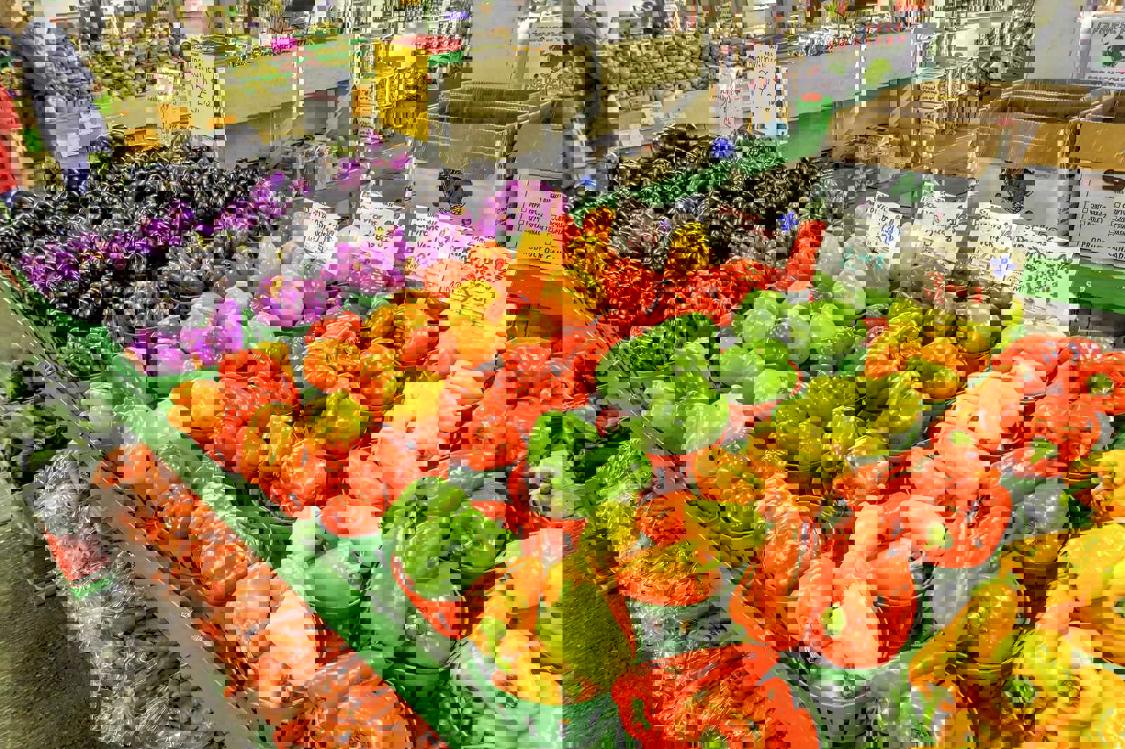 Jean-Talon Market