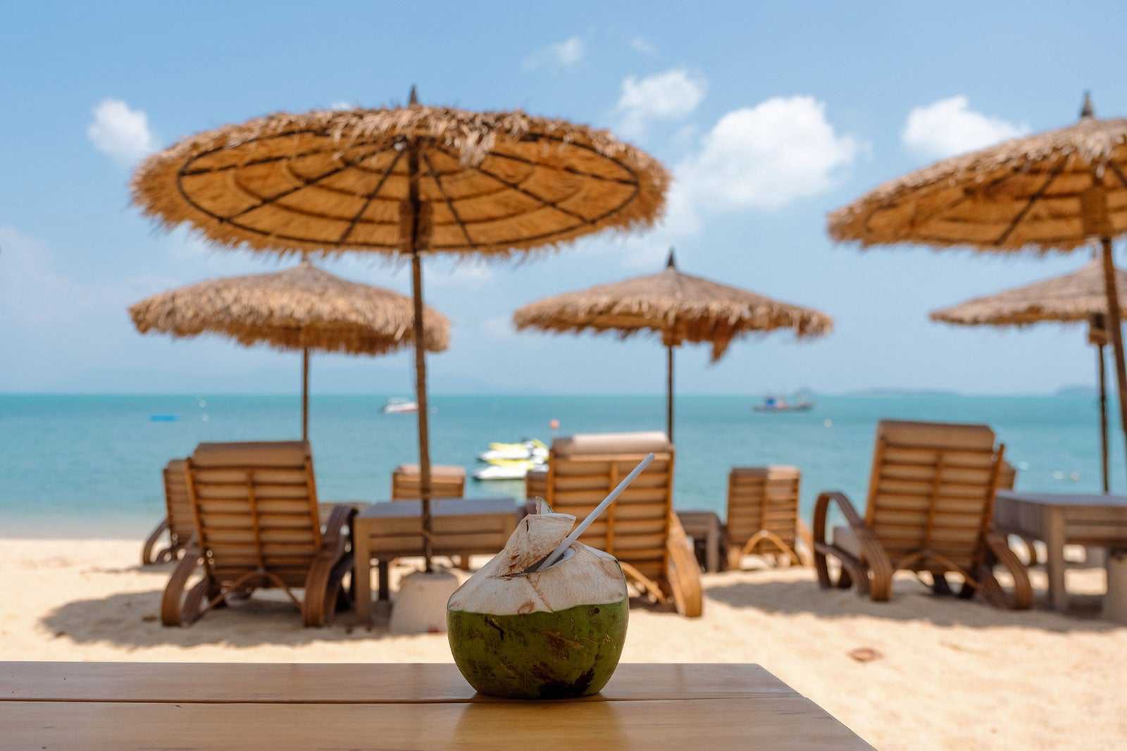 Coconuts On The Beach