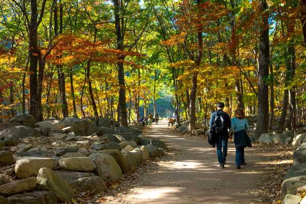 10 Best Free Things to Do in Sokcho