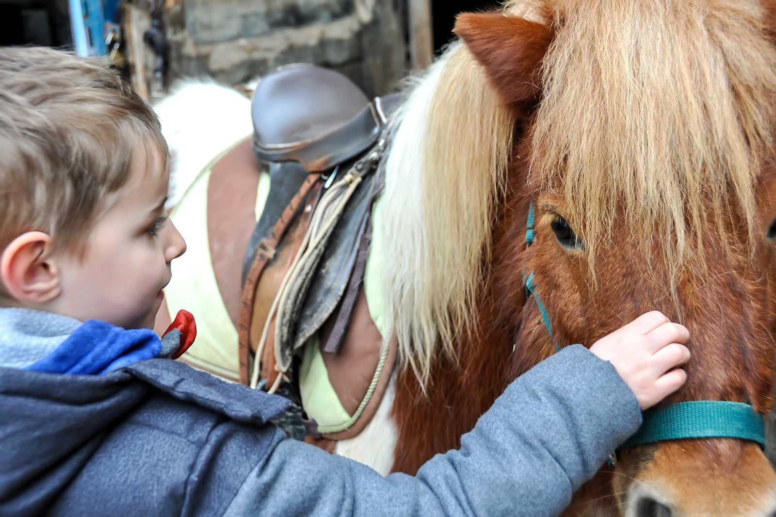 Matlock Farm Park