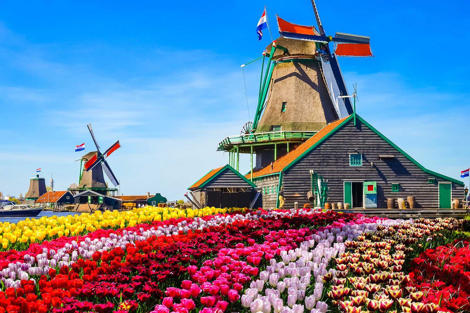 De Zaanse Schans