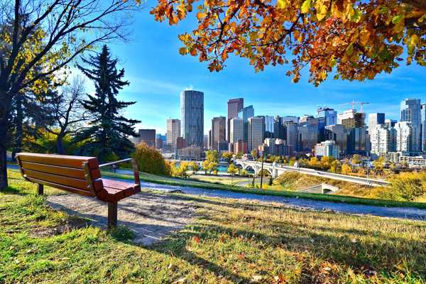 10 Date Ideas for Couples in Calgary