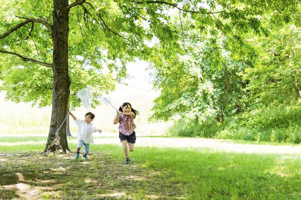 10 Best Places in Nara for Family Trips