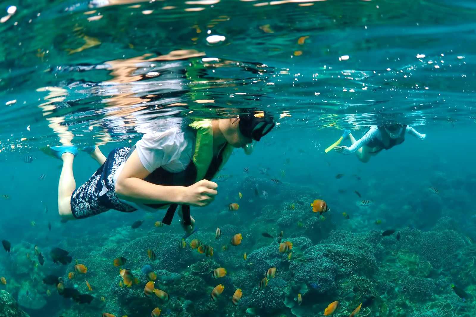 Snorkel around the Gilis