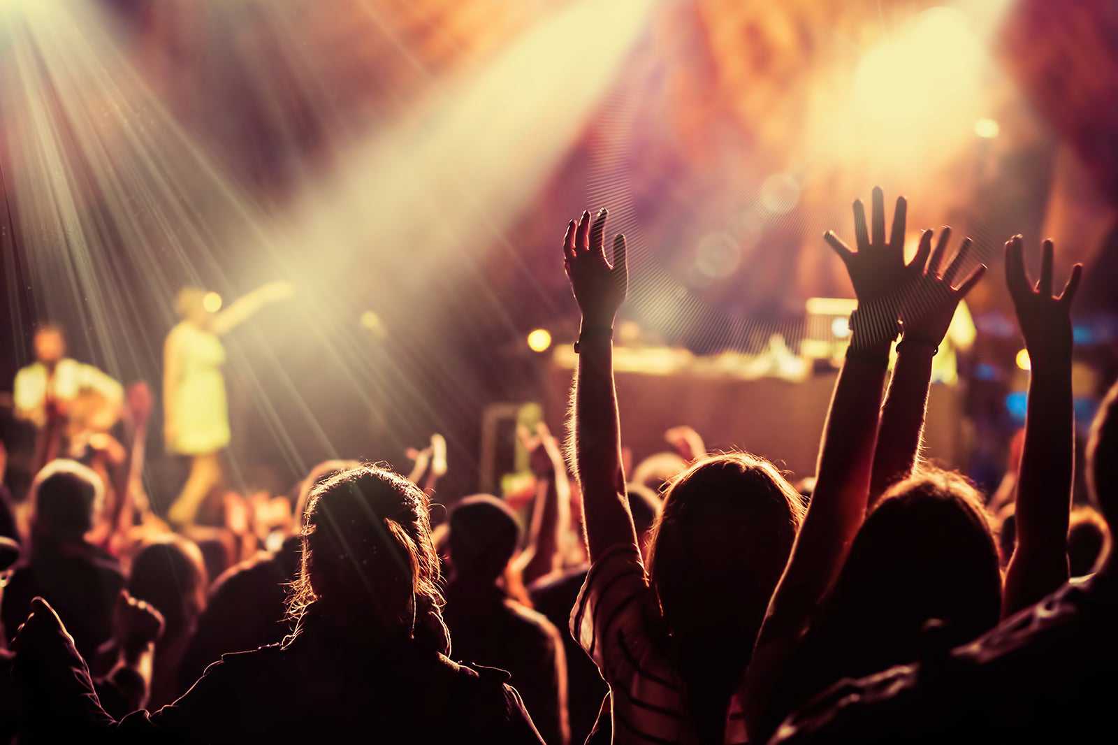 Forest Live Festival