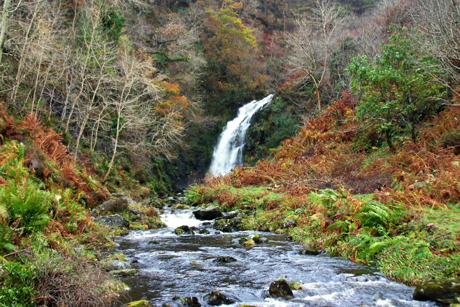 Galloway Forest Park