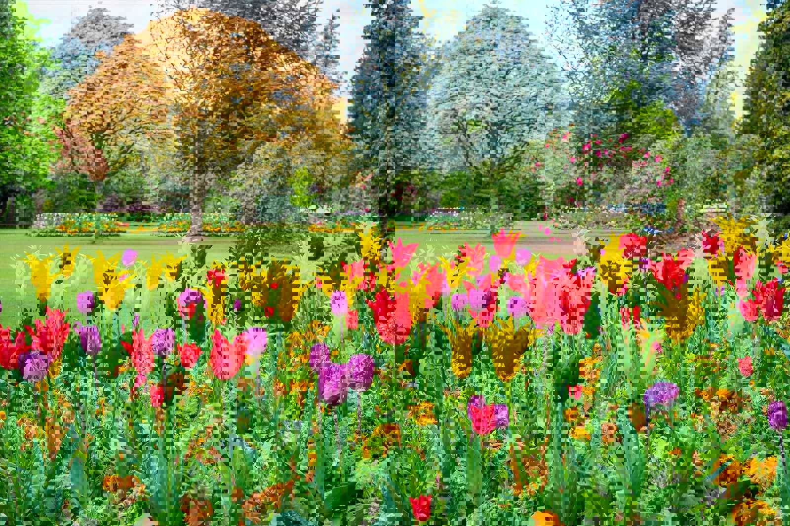 Birmingham has more greenspace than Paris