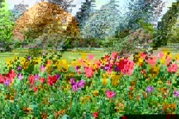 10 Best Parks in Birmingham