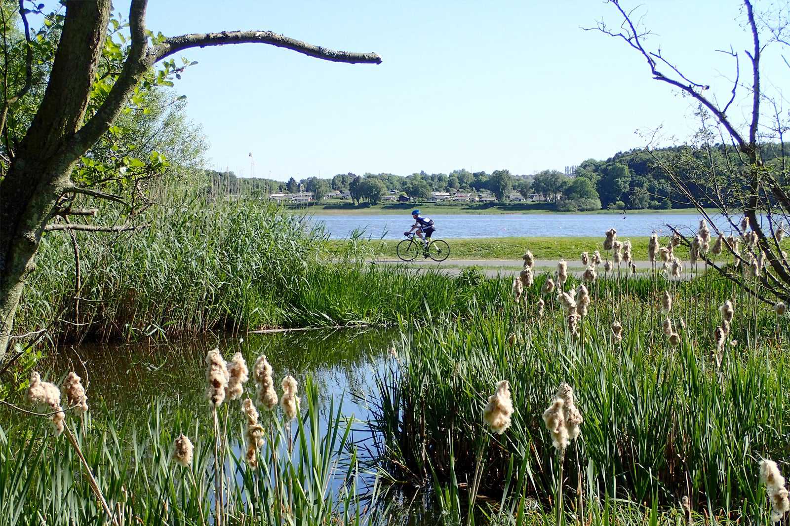 Cycling around Brabrand Lake (Brabrand Sø)