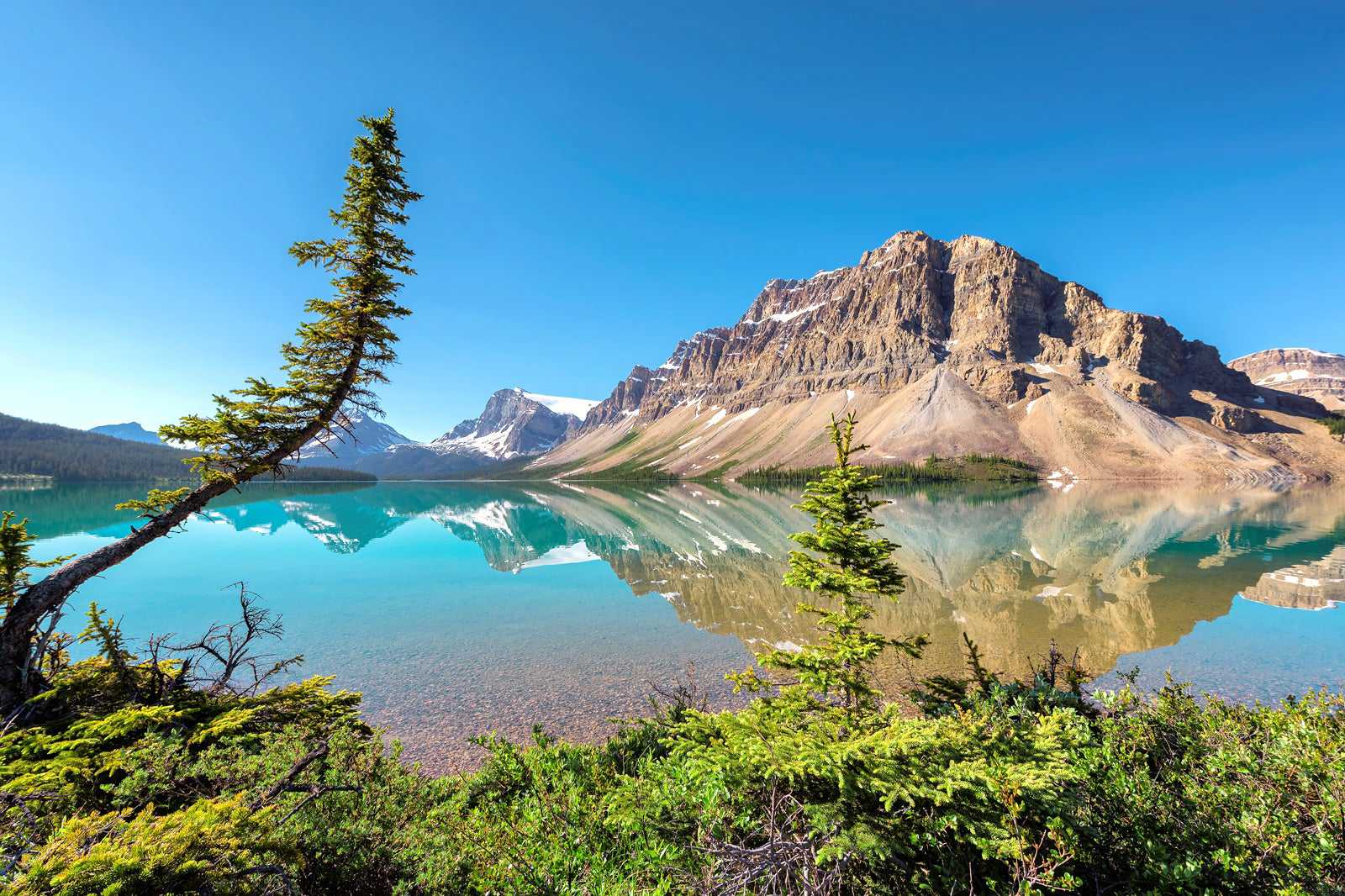 Bow Lake