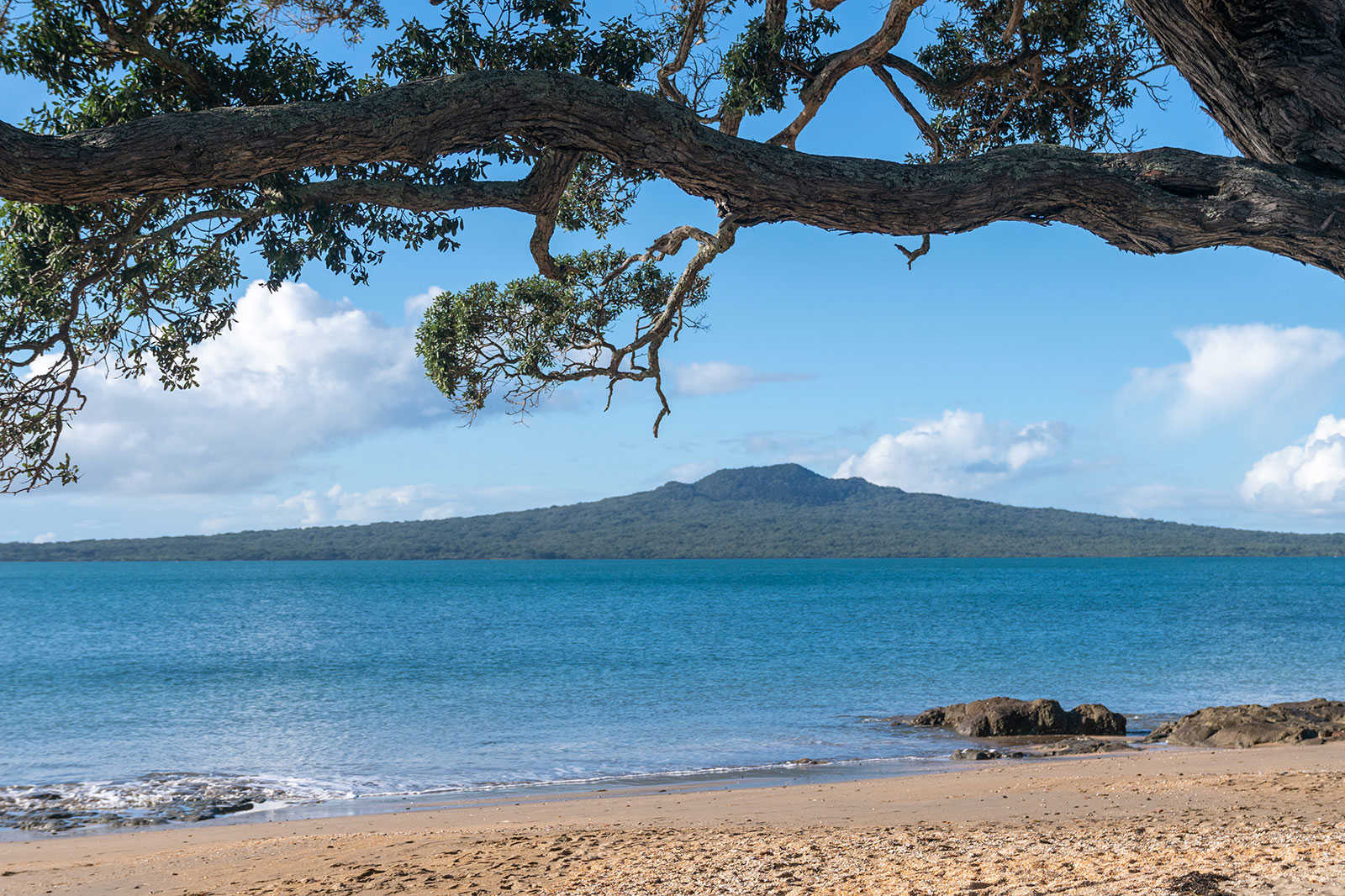 Rangitoto Island