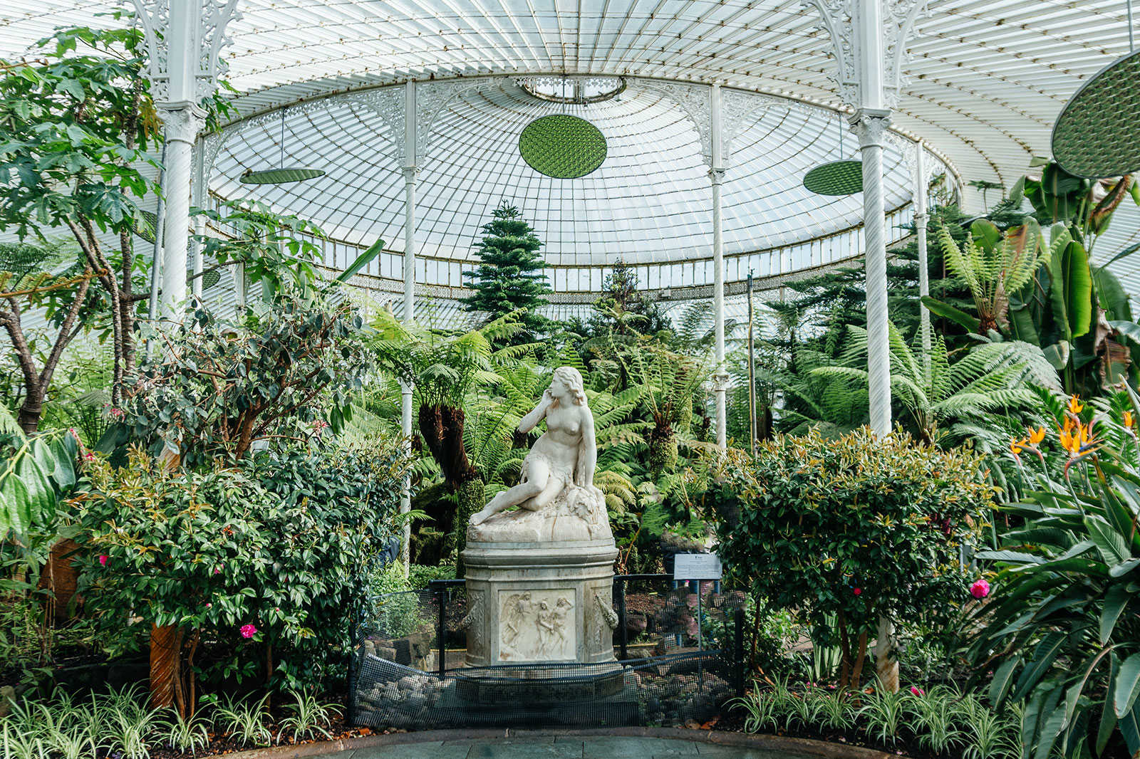 Glasgow Botanic Gardens