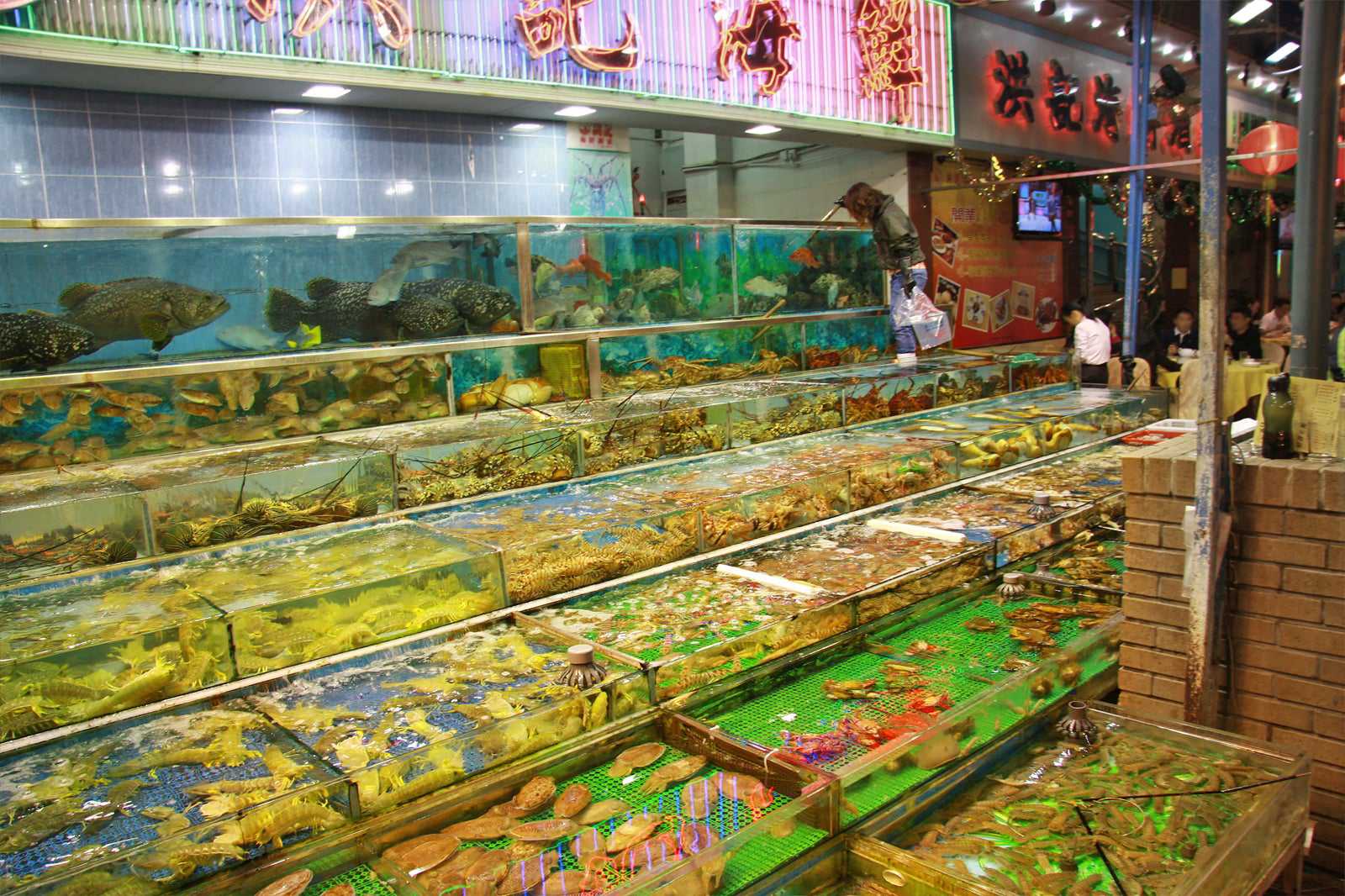 Sai Kung Seafood Street